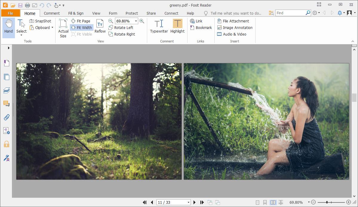 Free JPG To PDF Converter - Converted images in the external PDF viewer