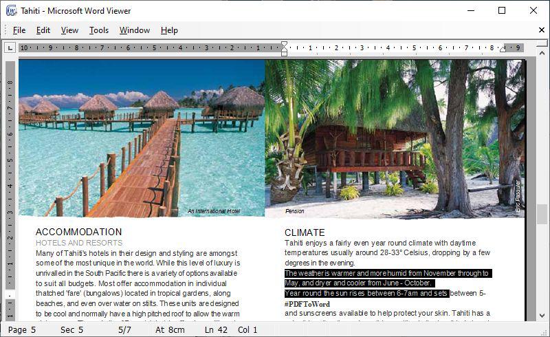 Free PDF To Word Converter - Ausgabe eines Word-Dokuments in einer Word-Reader-Anwendung